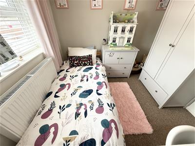 Picture 15